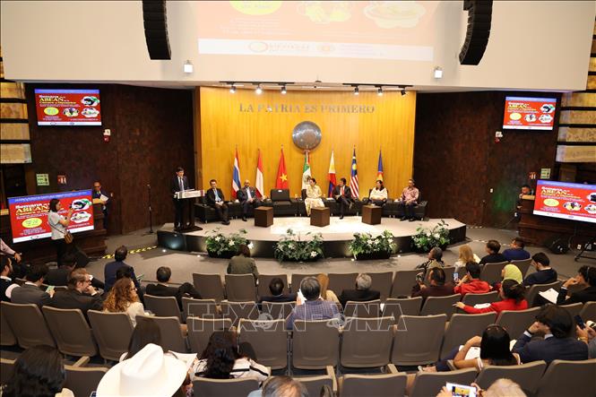 A view of the event. VNA Photo: Phi Hùng