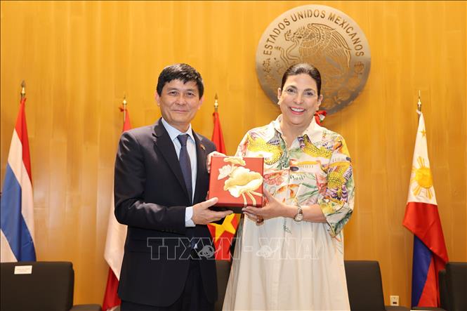 Vietnamese Ambassador to Mexico Nguyen Hoanh Nam presents a gift to President of the Chamber of Deputies Marcela Guerra Castillo. VNA Photo: Phi Hùng