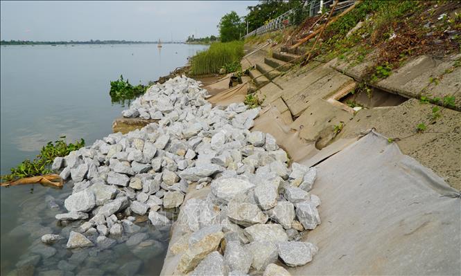 Đoạn sụp lún của bờ kè Mỹ An Hưng B được trải vải địa kỹ thuật và thả đá nhằm khắc phục tạm thời. Ảnh: Nhựt An - TTXVN