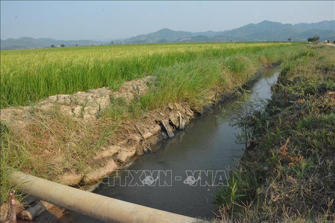 Tuyến kênh N2-10 tại xã Buôn Triết, huyện Lắk không được thi công bằng tấm lát bê tông nhưng bị nghiệm thu “khống” để thanh toán trên “giấy”. Ảnh: Tuấn Anh – TTXVN