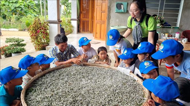 Học sinh trải nghiệm cách nuôi tằm tại huyện Nghĩa Hành (Quảng Ngãi). Ảnh: TTXVN phát