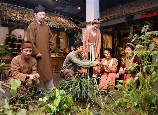 Trưng bày giới thiệu cây thuốc dược liệu, sản phẩm thuốc, khu vực điều chế thuốc Đông y cổ truyền, không gian tư vấn bắt mạch… từ ngày 19/4 đến ngày 12/5/2024. Ảnh: Thanh Tùng - TTXVN 