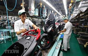 Thị trường xe máy Việt Nam: Ảm đạm đan xen xu hướng mới