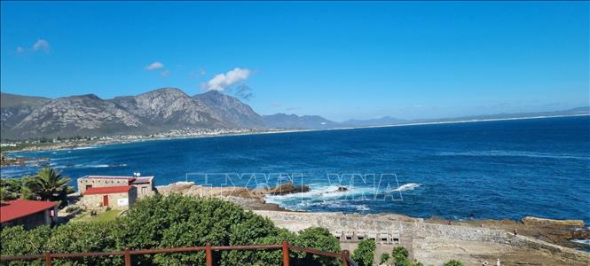 Một góc bờ biển Hermanus nổi tiếng với đàn cá voi trong mùa sinh sản. Rất nhiều triệu phú tại Nam Phi coi Hermanus là nơi an cư an toàn và đang đổ về đây từ các thành phố lớn. Ảnh: Hồng Minh - PV TTXVN tại Nam Phi