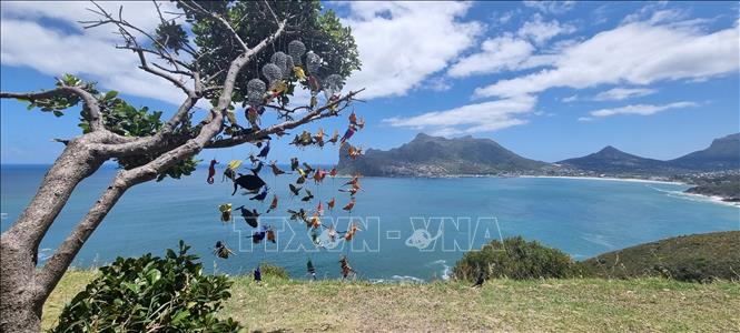 Một góc thành phố Cape Town nhìn từ Chapman's Peak Drive, một trong những cung đường ven biển đẹp nhất thế giới. Ảnh: Hồng Minh - p/v TTXVN tại Nam Phi
