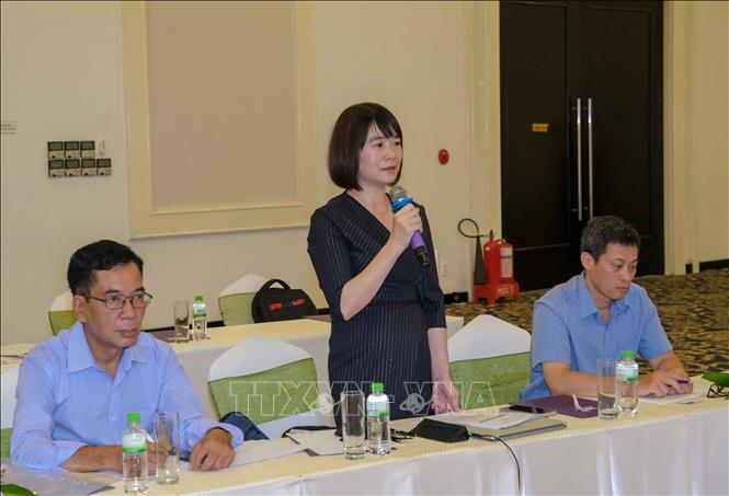 Chief of the VNMC Office Nguyen Thi Thu Linh speaks at the workshop. VNA Photo: Thanh Liêm
