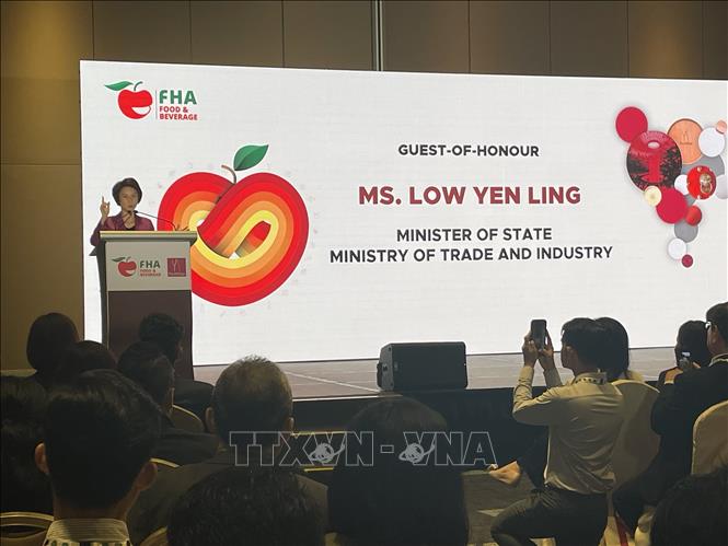 Singaporean Minister of Trade and Industry Low Yen Ling speaks at the event's opening ceremony. VNA Photo: Tất Đạt
