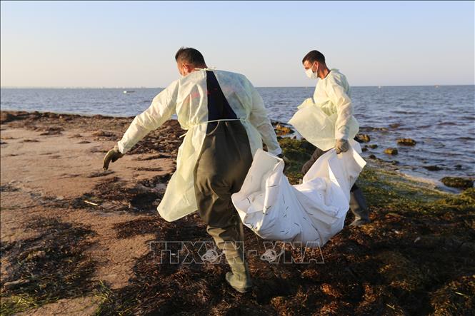(Tư liệu) Lực lượng cứu hộ chuyển thi thể người di cư ở bờ biển thành phố Zarzis, Tunisia. Ảnh: AFP/TTXVN