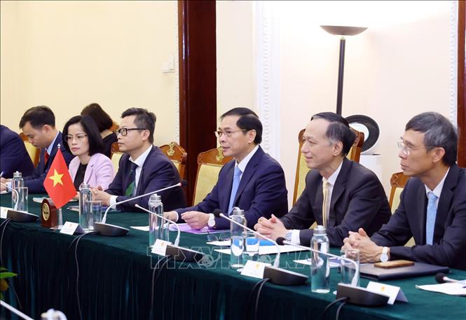 Minister of Foreign Affairs Bui Thanh Son speaks at the meeting. VNA Photo: Phạm Kiên 