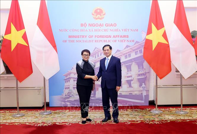 Vietnamese Minister of Foreign Affairs Bui Thanh Son and his Indonesian counterpart Retno Marsudi. VNA Photo: Phạm Kiên 