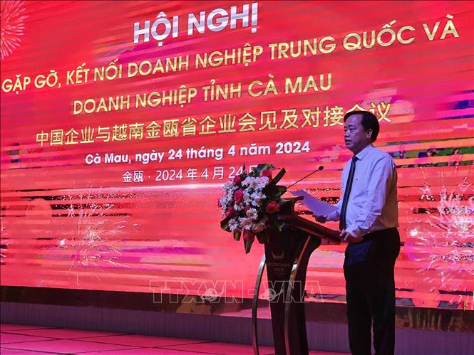 Chairman of the provincial People's Committee Huynh Quoc Viet speaks at the conference. VNA Photo: Kim Há