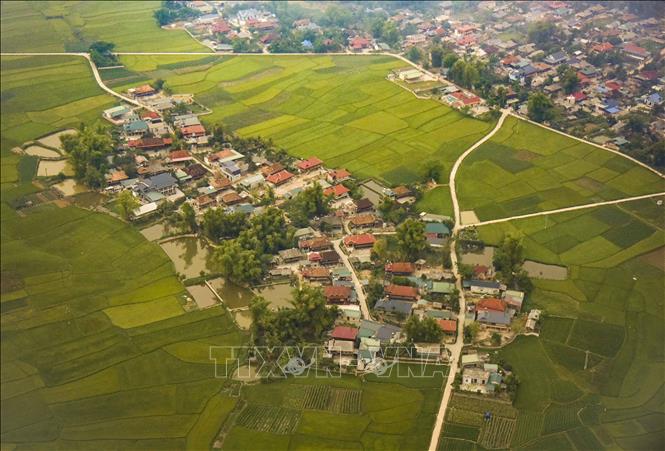 A village of Dien Bien province's locals surrounded by rice fields. VNA Photo: Xuân Tư 