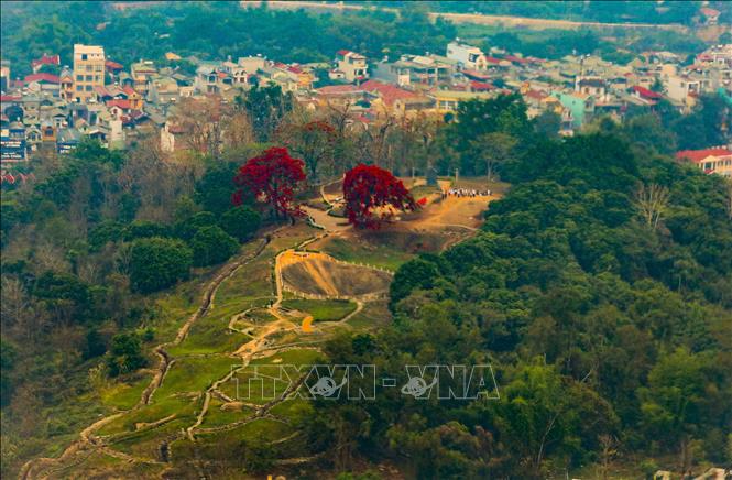 A1 Hill - one of the historical sites of the Dien Bien Phu Victory. VNA Photo: Xuân Tư 