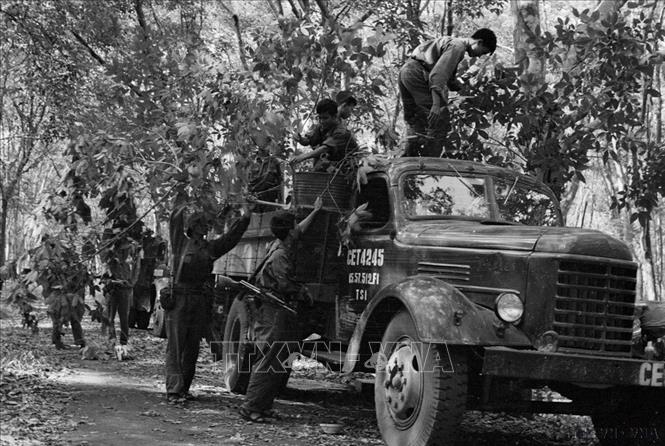 Các chiến sĩ đoàn Khe Sanh ngụy trang xe trước khi tiến công vào Sài Gòn. Ảnh: Quang Thành - TTXVN