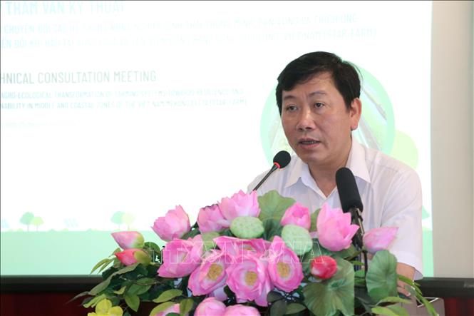 Ông Nguyễn Đỗ Tuấn Anh, Vụ trưởng Vụ Hợp tác Quốc tế, Bộ Nông nghiệp và Phát triển nông thôn phát biểu tại cuộc họp. Ảnh: Thanh Hòa- TTXVN