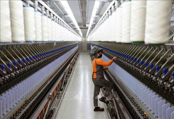 Producing silk fibre for export at the 100% German-invested Da Lat Fibre Co. Ltd in the Central Highlands of Lam Dong. VNA Photo: Vũ Sinh