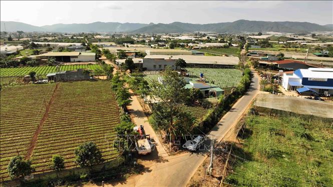 Rural roads in Tu Tra commune, Don Duong district are concreted. VNA Photo: Vũ Sinh