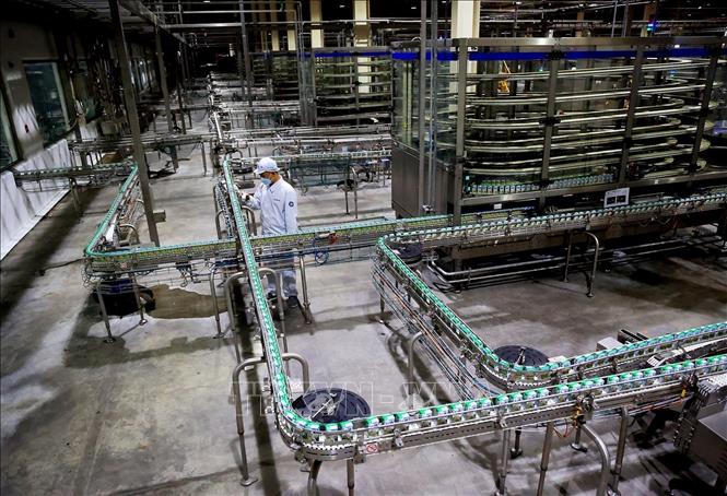 Công nhân vận hành dây chuyền sản xuất sữa tươi Vinamilk từ trang trại xanh, thân thiện với môi trường tại Nhà máy sản xuất sữa Vinamilk (Khu công nghiệp Mỹ Phước, thị xã Bến Cát, Bình Dương). Ảnh: Hồng Đạt - TTXVN