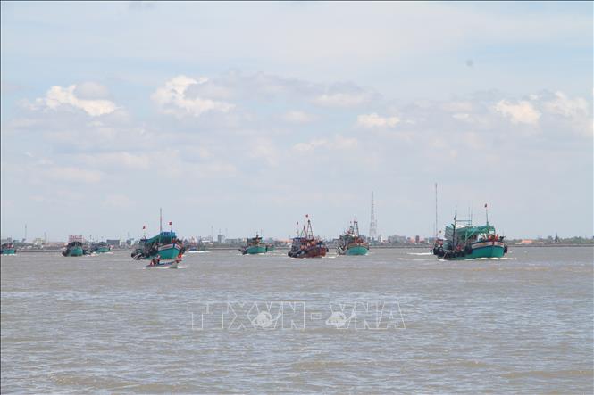 Các tàu đang hoạt động trên vùng biển Bạc Liêu. Ảnh: Chanh Đa-TTXVN