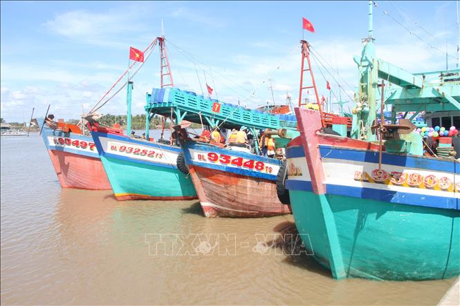 Các tàu neo đậu tại bến Gành Hào (huyện Đông Hải, tỉnh Bạc Liêu). Ảnh: Chanh Đa-TTXVN