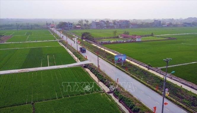 Huyện Yên Lạc đẩy mạnh phát triển nông nghiệp, nông thôn theo hướng văn minh, giàu đẹp, hiện đại. Ảnh: Nguyễn Thảo - TTXVN