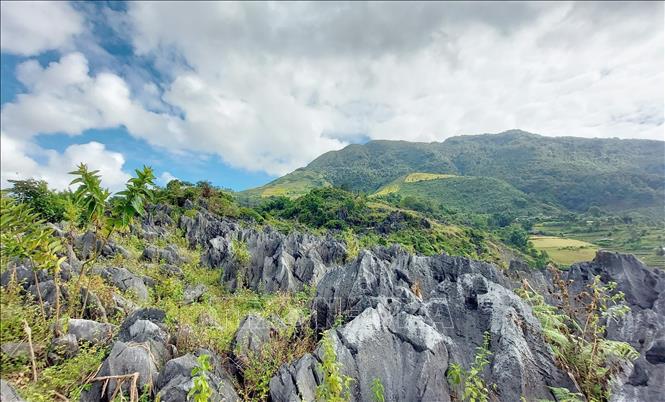 Tua Chua has the largest acreage of rocky mountains in Dien Bien province. Photo by courtesy