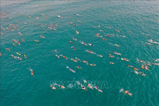 Các vận động viên nam tranh tài cự ly 2000m bơi biển. Ảnh: Trần Lê Lâm - TTXVN 