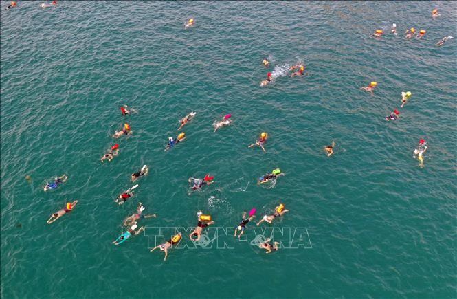 Các vận động viên nam tranh tài cự ly 2000m bơi biển. Ảnh: Trần Lê Lâm - TTXVN 