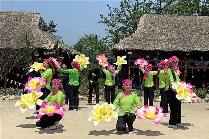 Fansipan Rose Festival 2024 themed “A Million Roses” is held in Sa Pa. VNA Photo: Quốc Khánh