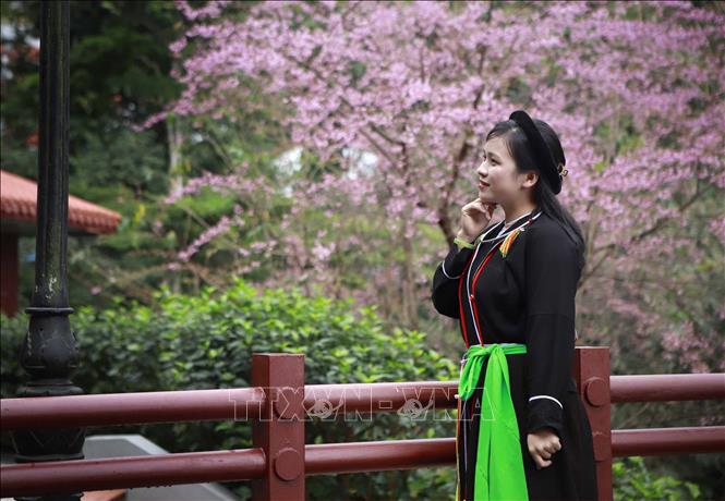 Trang phục truyền thống của dân tộc Sán Dìu giúp tôn dáng vẻ đẹp người thiếu nữ. Ảnh: Hoàng Hùng - TTXVNf