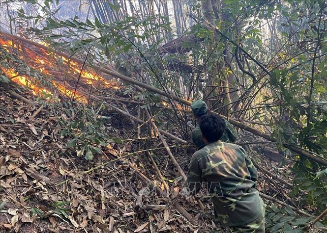 Bộ đội biên phòng tỉnh Quảng Bình tham gia dập lửa cháy rừng tại huyện Tuyên Hóa ngày 30/4. Ảnh: TTXVN phát