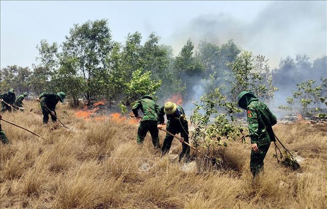 Bộ đội biên phòng tỉnh Quảng Bình tham gia dập lửa cháy rừng tại xã Hải Ninh, huyện Quảng Ninh ngày 30/4. Ảnh: TTXVN phát