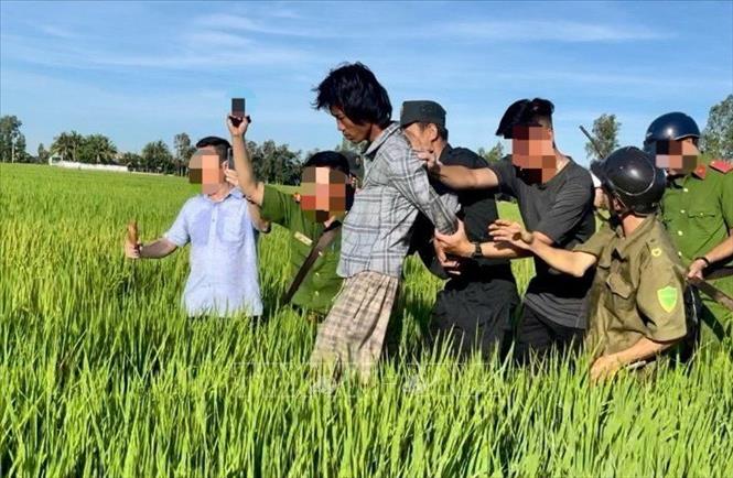 Đối tượng Võ Chí Cường bị lực lượng công an bắt giữ khi đang lẩn trốn trên cánh đồng ở huyện Cờ Đỏ, TP Cần Thơ. Ảnh: TTXVN phát
