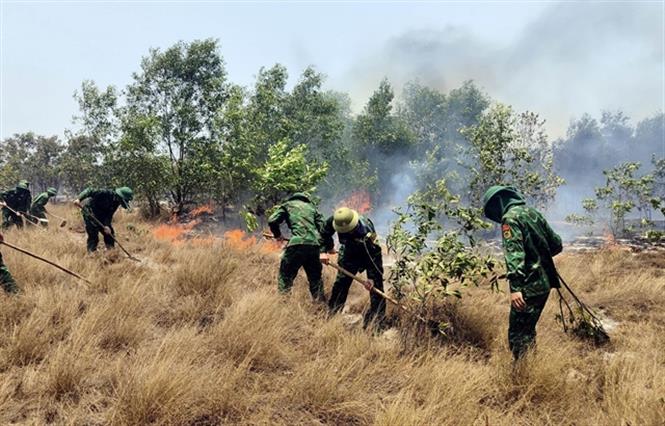 PM asks for effective preventive solutions against forest fires 
