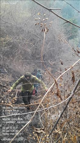 Lực lượng Kiểm lâm tỉnh Ninh Thuận tiếp cận hiện trường đám cháy. Ảnh: TTXVN phát