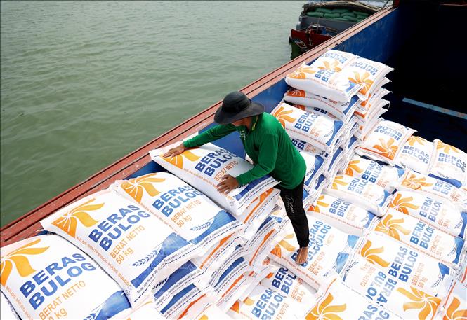 Gạo xuất khẩu tập kết xuống ghe ở tỉnh An Giang. Ảnh: Hồng Đạt - TTXVN

