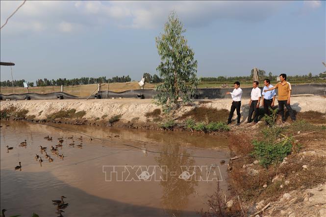 Anh Sơn (áo màu) giới thiệu về trang trại nuôi le le với đoàn cán bộ Hội Nông dân tỉnh và huyện. Ảnh: Minh Hưng – TTXVN