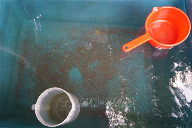Cặn lắng đọng dưới bể chứa nước của gia đình bà Nguyễn Thị Chín (khu tái định cư thôn Nam Yên, xã Hòa Bắc, huyện Hòa Vang, thành phố Đà Nẵng). Ảnh: Quốc Dũng - TTXVN