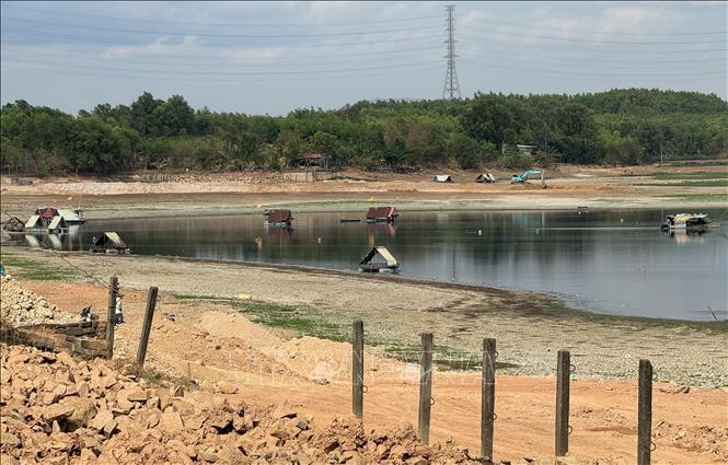 Hoàn thành vớt hơn 100 tấn cá chết trên hồ Sông Mây, huyện Trảng Bom, tỉnh Đồng Nai. Ảnh: Công Phong - TTXVN