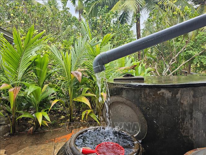 Người dân xã Phong Nẫm, huyện Giồng Trôm, Bến Tre dùng các vật dụng để chứa nước mưa. Ảnh: Chương Đài - TTXVN