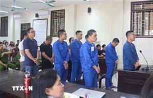 Thái Bình: Xét xử Giám đốc Trung tâm Đăng kiểm xe cơ giới 17-02D cùng đồng phạm