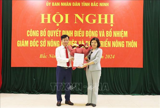 Chủ tịch UBND tỉnh Bắc Ninh Nguyễn Hương Giang (phải) trao Quyết định cho tân Giám đốc Sở Nông nghiệp và Phát triển Nông thôn tỉnh Bắc Ninh Nguyễn Song Hà. Ảnh: TTXVN phát