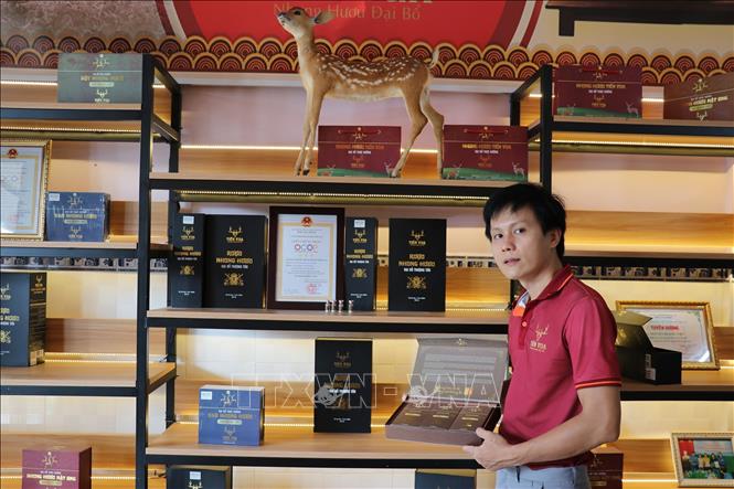 Hợp Tác Xã Hươu Sao Tây Nam Bộ của anh Nguyễn Hoàng Việt đã có 4 sản phẩm đạt tiêu chuẩn OCOP 3 sao. Ảnh: Hữu Chí - TTXVN