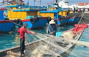 Bình Thuận works to stop fishing vessels from infringing on foreign waters