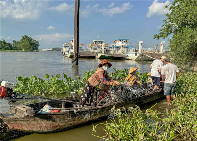 Người dân lên thuyền nhỏ từ phía Cần Thơ để về nhà ở thị xã Bình Minh (tỉnh Vĩnh Long) khi bến đò ngưng hoạt động ngày 6/5. Ảnh: Thanh Liêm - TTXVN