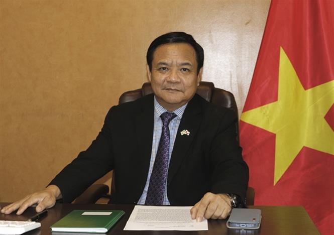 Việt Nam, Brazil enjoy strong trust, substantive cooperation over 35 years: Diplomat