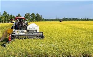 Việt Nam seeks collaboration with Australia on sustainable agriculture 