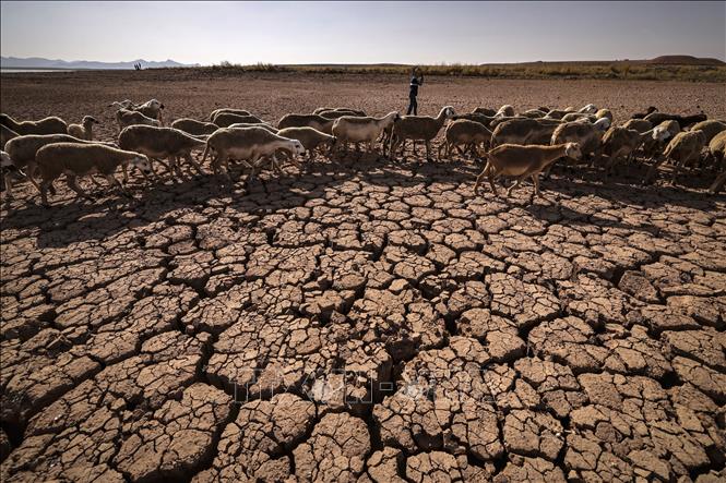 (Tư liệu) Đất đai nứt nẻ do hạn hán tại Ouled Essi Masseoud, Maroc. Ảnh: AFP/ TTXVN
