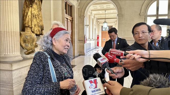 Tran To Nga meets with the press after the court. VNA Photo: Nguyễn Thu Hà