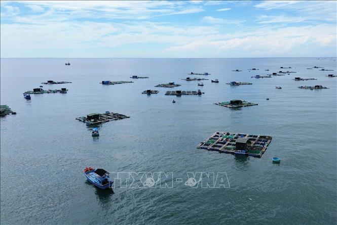 Mô hình nuôi hải sản trong lồng bè tại Ninh Thuận. Ảnh: Nguyễn Thành – TTXVN